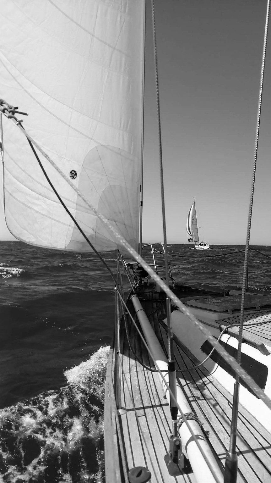 Sailing during a regatta